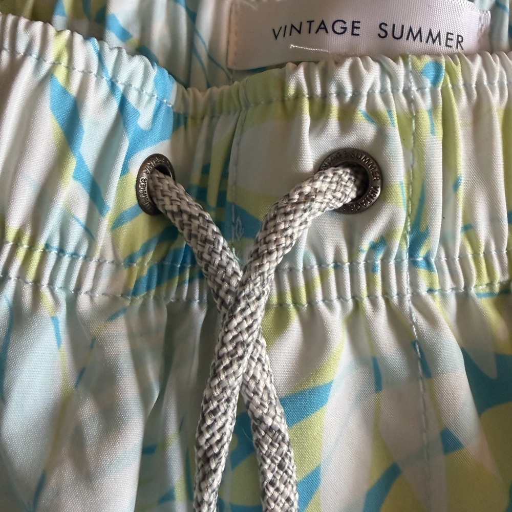 NWT  Men's Swim Shorts - Blue and Green